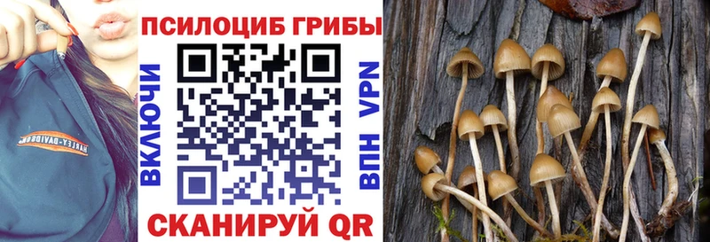 Галлюциногенные грибы MAGIC MUSHROOMS  Барнаул 