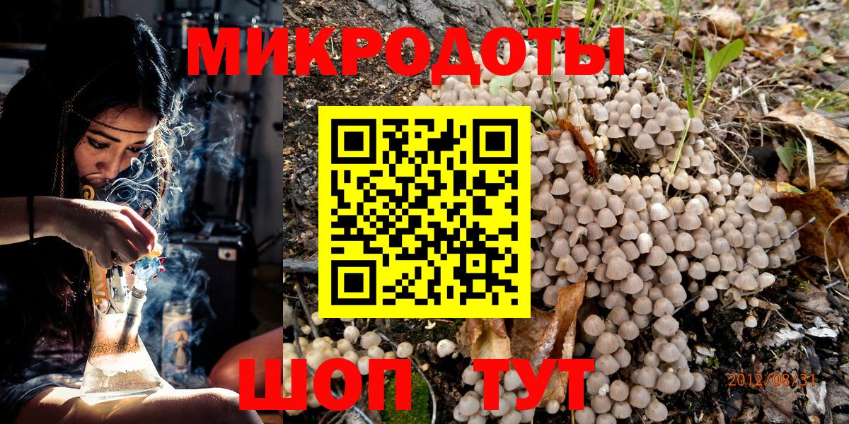 Галлюциногенные грибы Psilocybe Барнаул