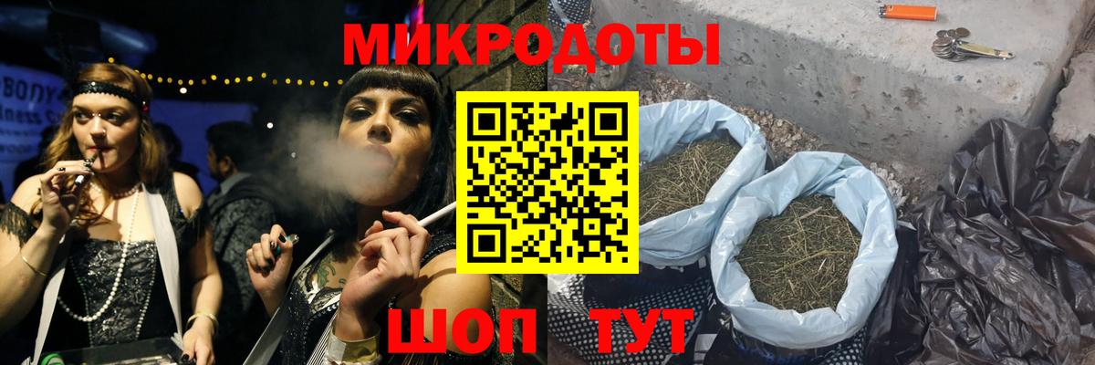 Галлюциногенные грибы Psilocybine cubensis  цены   Барнаул  Псилоцибиновые грибы Cubensis 