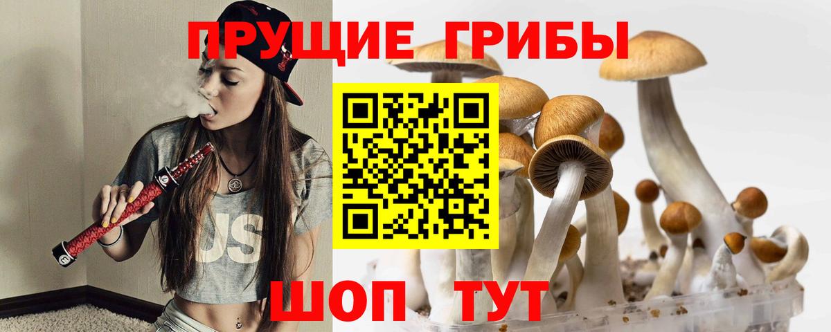 Галлюциногенные грибы прущие грибы  Галлюциногенные грибы Magic Shrooms  Вход с VPN  Барнаул 